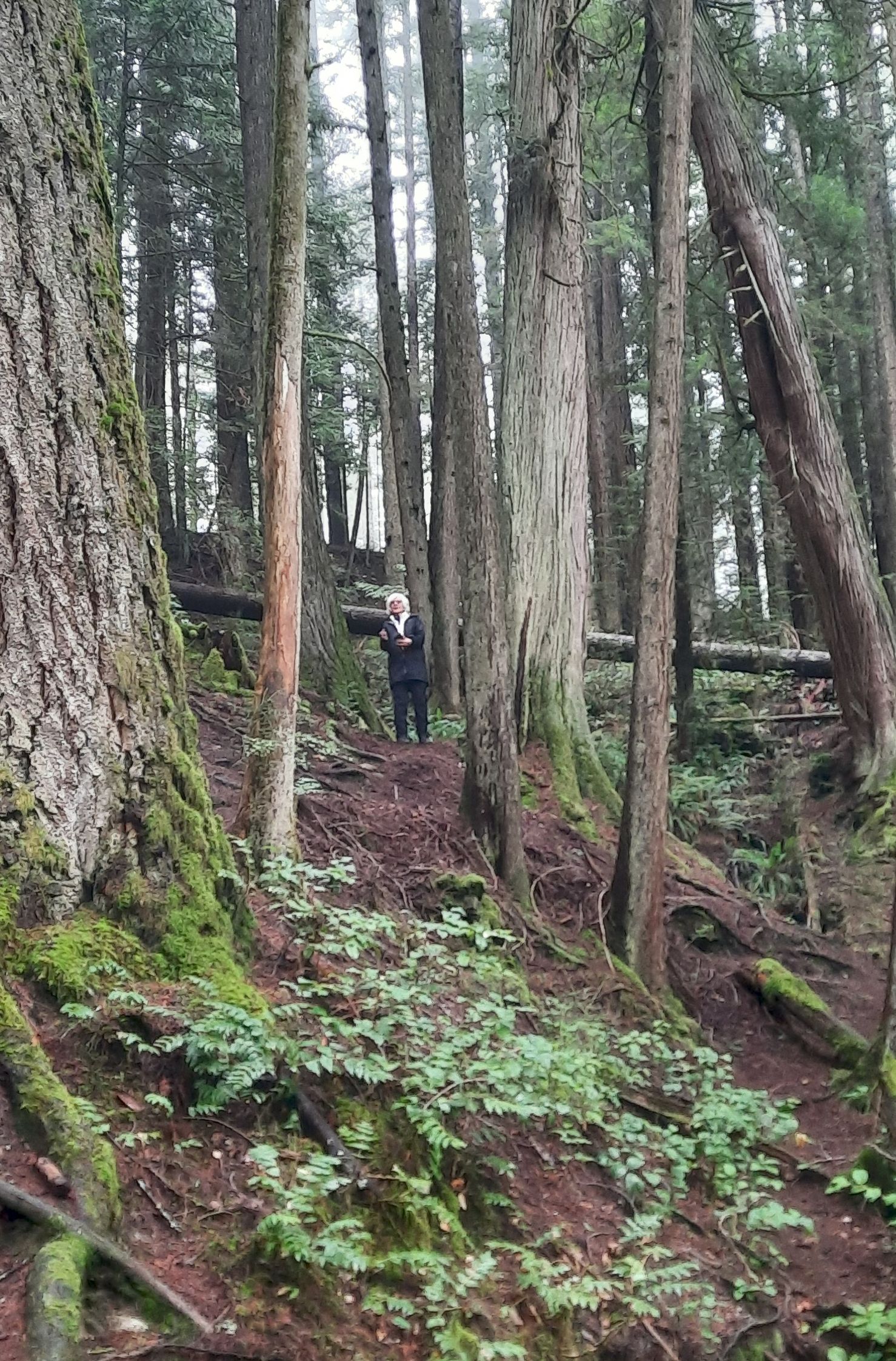 Angela observes from a distance