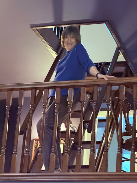 Julie observes from on high